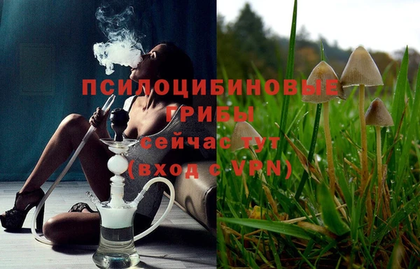 мет Белокуриха